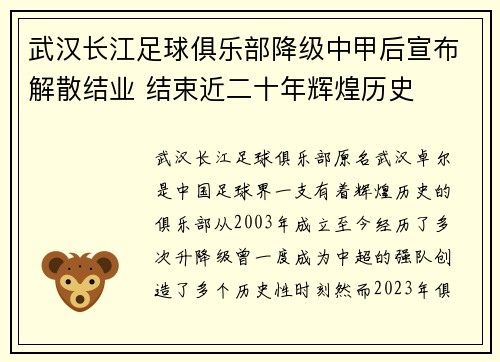 武汉长江足球俱乐部降级中甲后宣布解散结业 结束近二十年辉煌历史
